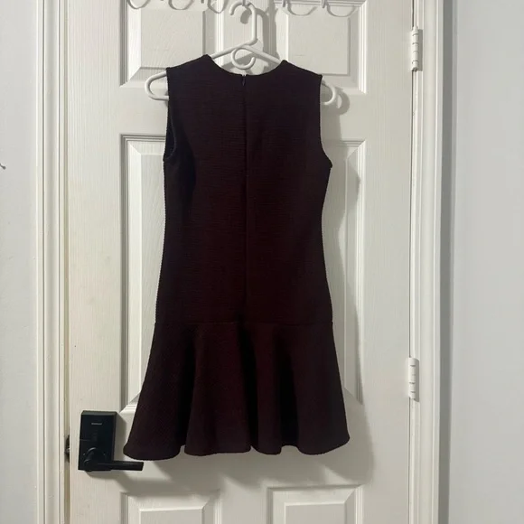 Zara Deep Burgundy Mini Dress - Picture 4 of 4